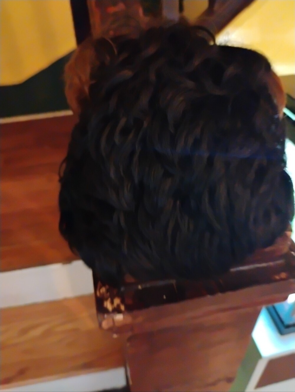 Woman Black Short Cut Wig